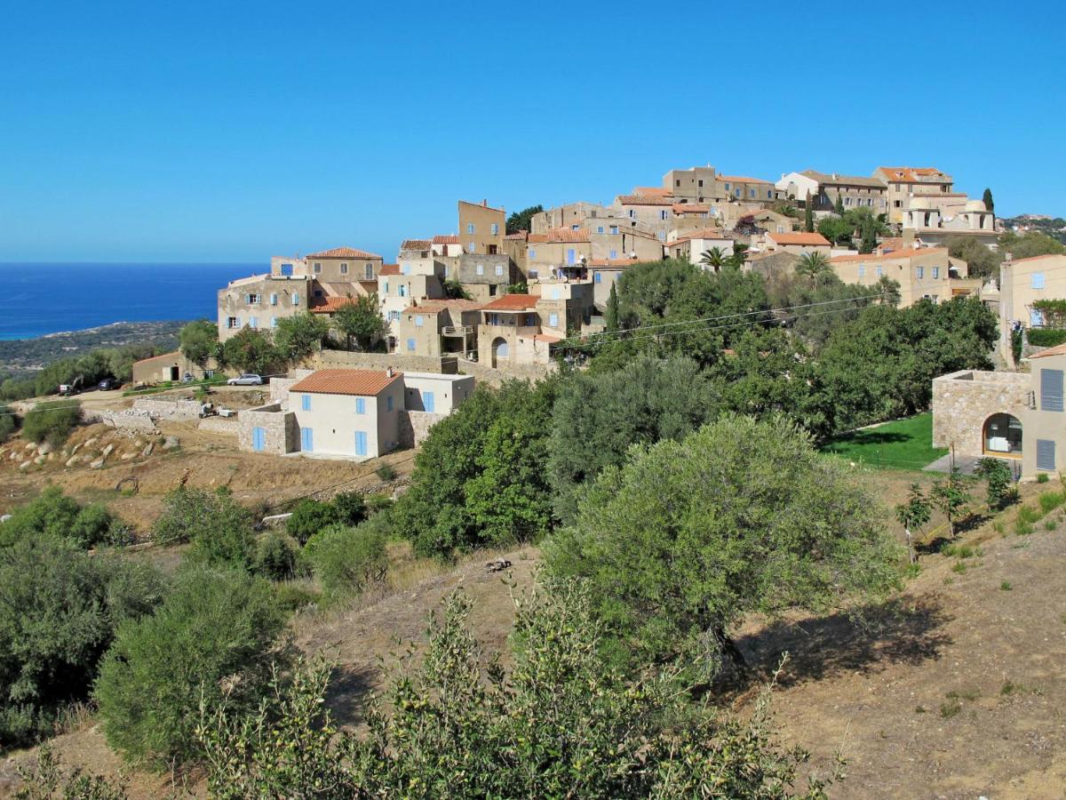 Apartment Thalassa - Cal200 By Interhome Corsica Island Екстериор снимка